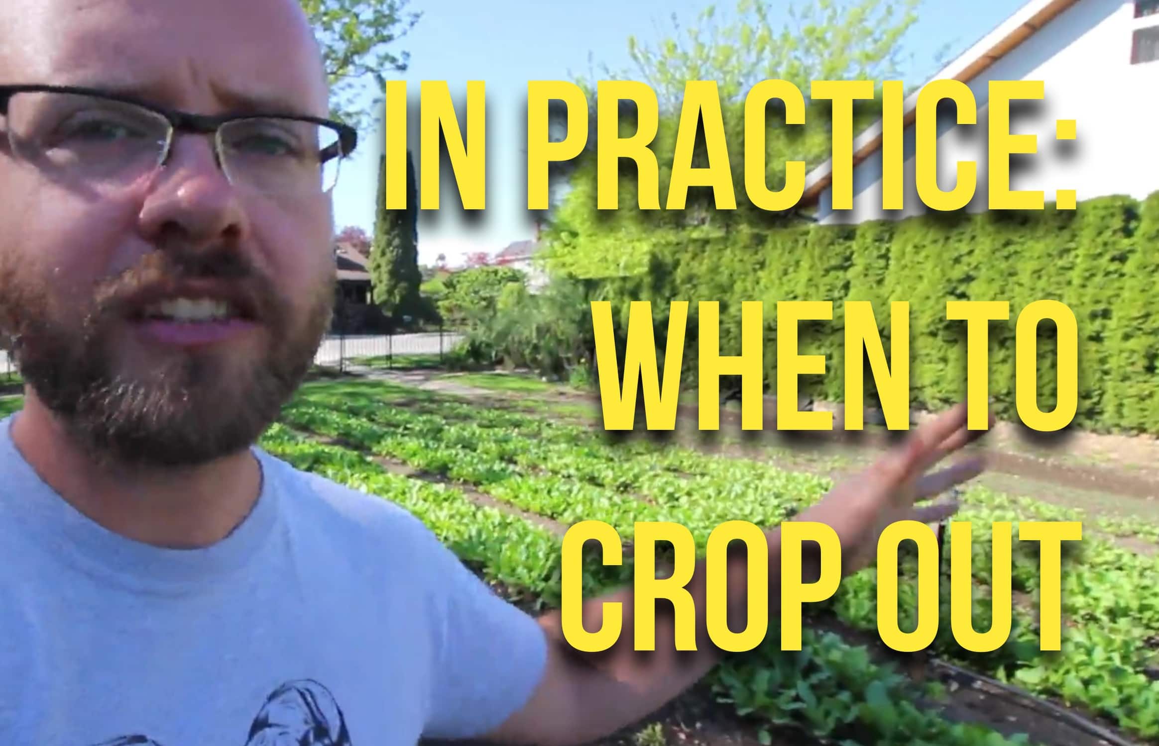 in-practice-when-to-crop-out-the-urban-farmer